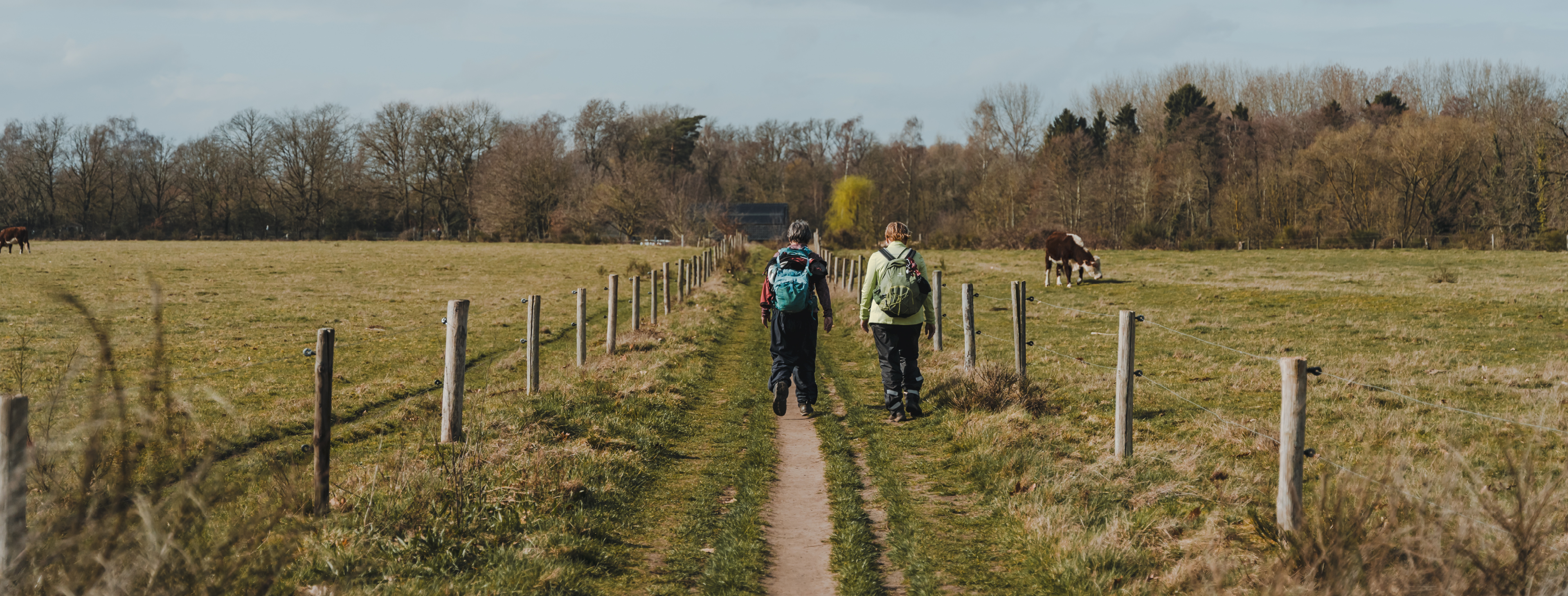 wandelaars op lang uitgestrekt pad