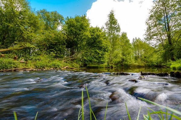 Fließender Bach im grünen Naturschutzgebiet von Brüggen, umgeben von Bäumen und ruhiger Umgebung im Naturpark Maas-Schwalm-Nette.