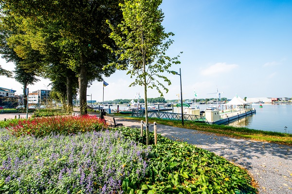 Bicycle path along the Maas in the bargee village of Maasbracht