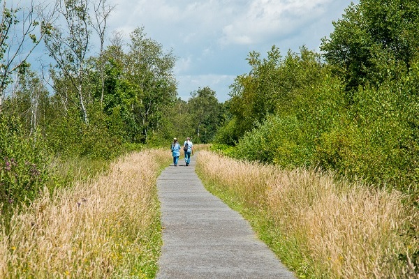 Hiking trail with hikers in The Groote Peel National Park, one of the Big Five 