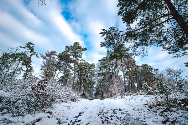 De natuur van Schwalmbruch bedekt onder een laagje sneeuw