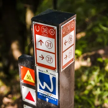 Bruine routepaal met knooppuntnummers en bewegwijzering voor ruiterroutes in Nationaal Park De Meinweg in Limburg.