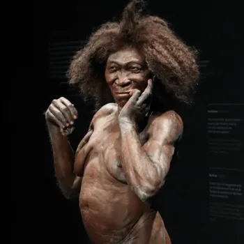 Levensecht model van een vroege mensachtige vrouw in een museumopstelling, met donkere huid en krullend haar, staand tegen een zwarte achtergrond.
